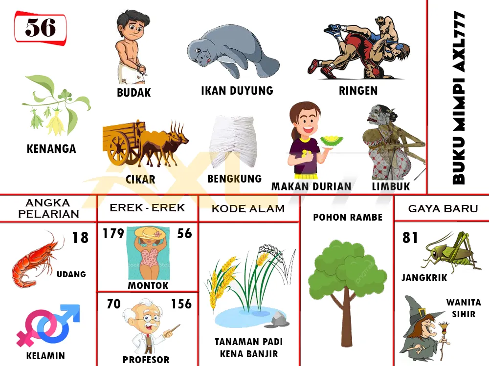 buku mimpi erek erek togel 56